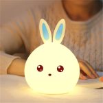 1 LED Night Light (3)