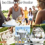 Ice Block Mold Large Food Grade (3)